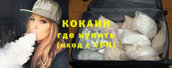 ПСИЛОЦИБИНОВЫЕ ГРИБЫ Вязники