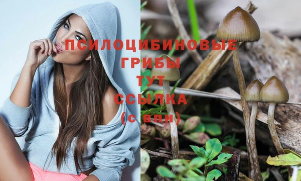 МДПВ Вяземский