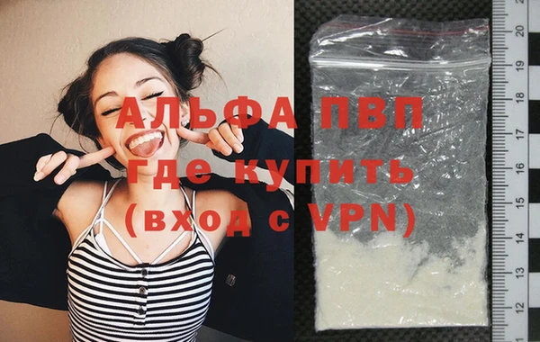 ПСИЛОЦИБИНОВЫЕ ГРИБЫ Вязники