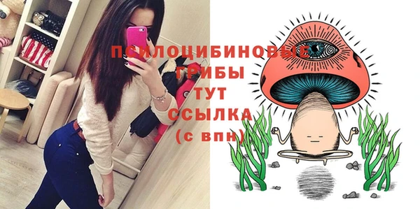 МДПВ Вяземский