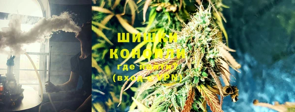 ПСИЛОЦИБИНОВЫЕ ГРИБЫ Вязники