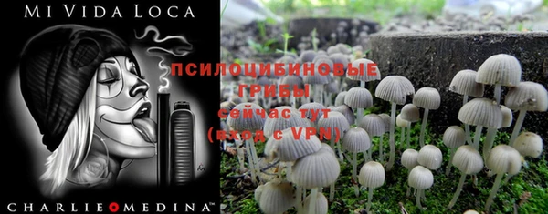 spice Горняк