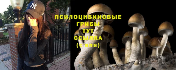 spice Горняк