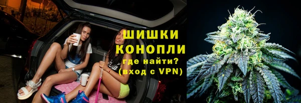 spice Горняк